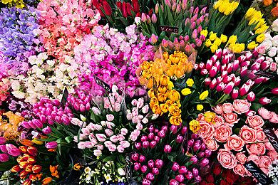 《霍格沃茨之遗》PS5和XSX|S画质模式公布