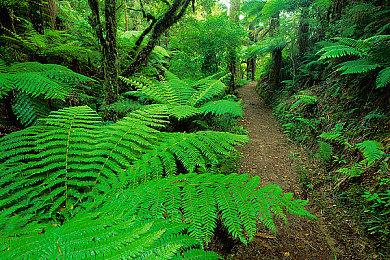 日本一新直播发布会9月19日举行 公布新游戏情报